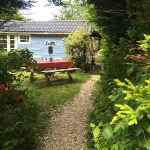 vakantiehuisje blauw - tuin